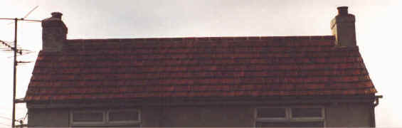 The New Roof