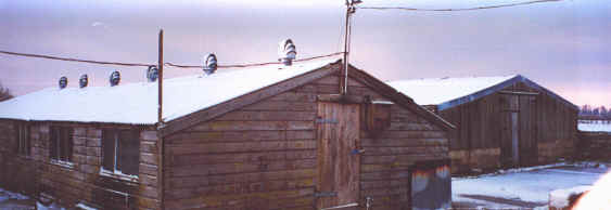 Piggery and Barn in the Snow